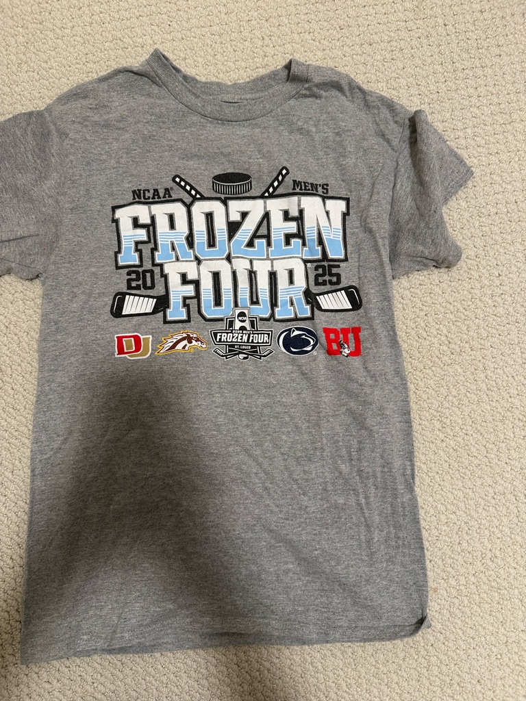 Womens Gray Frozen Four Graphic Tee